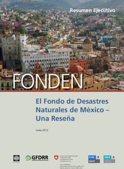 FONDEN - Protecci&oacute;n Civil