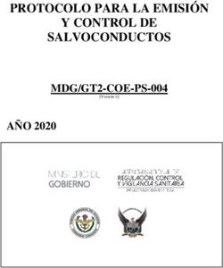 PROTOCOLO PARA LA EMISIÓN Y CONTROL DE SALVOCONDUCTOS - MDG/GT2-COE-PS-004 AÑO 2020