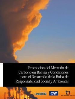 Promoción del Mercado de Carbono en Bolivia y Condiciones para el Desarrollo de la Bolsa de Responsabilidad Social y Ambiental