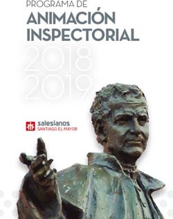 2018 2019 ANIMACIÓN INSPECTORIAL - SANTIAGO EL MAYOR - Salesianos ...