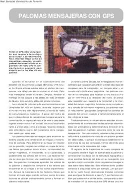 PALOMAS MENSAJERAS CON GPS