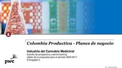 Colombia Productiva - Planes de negocio - Industria del Cannabis Medicinal Estudio de prospectiva y benchmarking. objeto de la propuesta para el ...