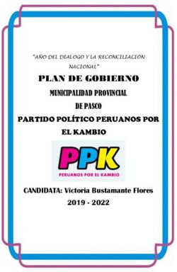 PLAN DE GOBIERNO MUNICIPALIDAD PROVINCIAL DE PASCO - Logo Peru Voto informado