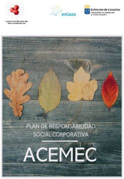 ACEMEC PLAN DE RESPONSABILIDAD SOCIAL CORPORATIVA