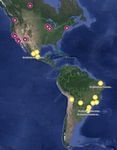 Evento: COVID-19 Novel Coronavirus 2019 - Actualizaci&oacute;n al 14 de febrero del 2020 - PAHO/WHO
