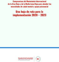 Una hoja de ruta para la implementación 2020 2023