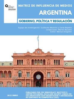 ARGENTINA MATRIZ DE INFLUENCIA DE MEDIOS - CMDS