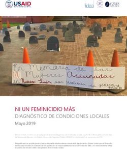 NI UN FEMINICIDIO MÁS DIAGNÓSTICO DE CONDICIONES LOCALES - MCIG