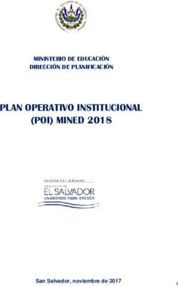 PLAN OPERATIVO INSTITUCIONAL (POI) MINED 2018