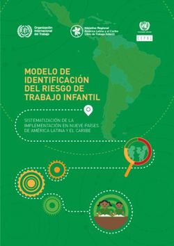 MODELO DE IDENTIFICACIÓN DEL RIESGO DE TRABAJO INFANTIL - SISTEMATIZACIÓN DE LA IMPLEMENTACIÓN EN NUEVE PAÍSES DE AMÉRICA LATINA Y EL CARIBE