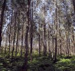 REFORMA ENERG&Eacute;TICA LAS POL&Eacute;MICAS MEDIDAS DE SORIA P5