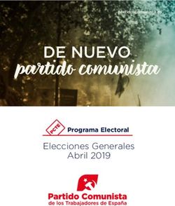 Elecciones Generales Abril 2019 - Programa Electoral - PCTE