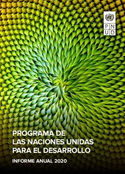 PROGRAMA DE LAS NACIONES UNIDAS PARA EL DESARROLLO - INFORME ANUAL 2020