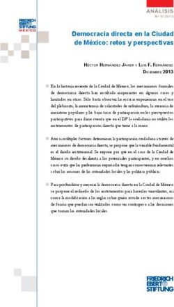 Democracia directa en la Ciudad de México: retos y perspectivas