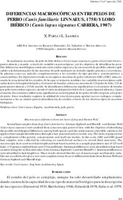 DIFERENCIAS MACROSC&Oacute;PICAS ENTRE PELOS DE