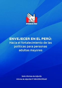 ENVEJECER EN EL PERÚ: Hacia el fortalecimiento de las políticas para personas adultas mayores