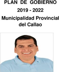 PLAN DE GOBIERNO 2019 - 2022 Municipalidad Provincial del Callao - 2022 Municipalidad Provincial del ...