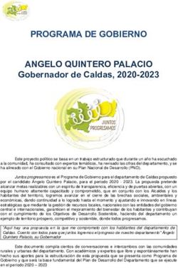 PROGRAMA DE GOBIERNO ANGELO QUINTERO PALACIO