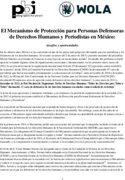 El Mecanismo de Protección para Personas Defensoras de Derechos Humanos y Periodistas en México