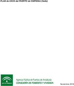 PLAN de USOS del PUERTO de CHIPIONA (C&aacute;diz) - Noviembre 2018