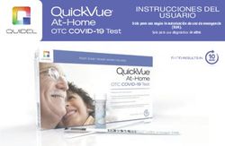 INSTRUCCIONES DEL USUARIO