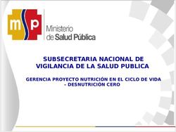 SUBSECRETARIA NACIONAL DE VIGILANCIA DE LA SALUD PUBLICA - GERENCIA PROYECTO NUTRICIÓN EN EL CICLO DE VIDA - DESNUTRICIÓN CERO