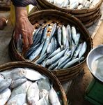 CUARESMA 2020 GU&Iacute;A PARA EDUCADORES - Para maestros de escuelas cat&oacute;licas y catequistas parroquiales - CRS Rice Bowl