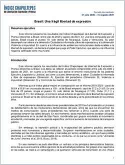 Brasil: Una fr&aacute;gil libertad de expresi&oacute;n - &Iacute;NDICE ...