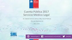 Cuenta Pública 2017 Servicio Médico Legal - Dr. Gabriel Zamora Salinas (Mg. Salud Pública) Director Nacional (s) - Servicio Médico Legal