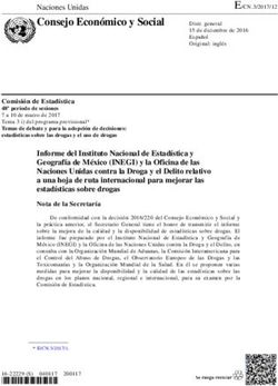 Consejo Económico y Social - Naciones Unidas