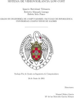 SISTEMA DE VIDEOVIGILANCIA LOW-COST