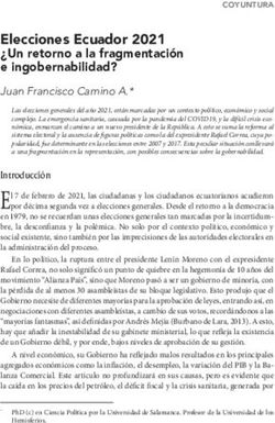 Elecciones Ecuador 2021 - Un retorno a la fragmentación e ingobernabilidad? Juan Francisco Camino A.* - Observatorio del Trabajo y el ...