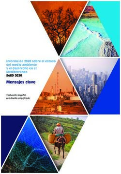 MENSAJES CLAVE INFORME DE 2020 SOBRE EL ESTADO DEL MEDIO AMBIENTE Y EL DESARROLLO EN EL MEDITERR&Aacute;NEO SOED 2020 - PLAN-BLEU