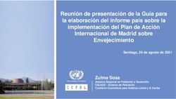 Reuni&oacute;n de presentaci&oacute;n de la Gu&iacute;a para la elaboraci&oacute;n del informe pa&iacute;s sobre la implementaci&oacute;n del Plan de Acci&oacute;n Internacional de Madrid sobre ...