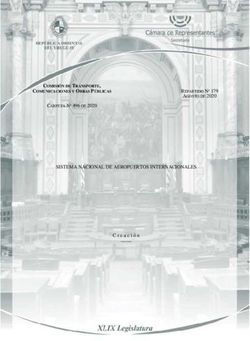 SISTEMA NACIONAL DE AEROPUERTOS INTERNACIONALES