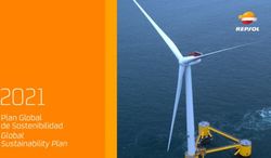 Plan Global de Sostenibilidad Global Sustainability Plan - Repsol