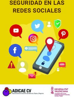 SEGURIDAD EN LAS REDES SOCIALES