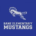 Distrito Escolar Independiente Cypress-Fairbanks Escuela Primaria Bane Plan de mejoramiento de la escuela del 2020-2021