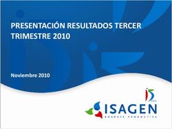 PRESENTACI&Oacute;N RESULTADOS TERCER TRIMESTRE 2010 - Noviembre 2010