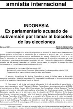 Amnistía internacional - INDONESIA Ex parlamentario acusado de subversión por llamar al boicoteo de las elecciones