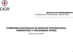 COMISIONES NACIONALES DE DERECHO INTERNACIONAL HUMANITARIO Y ORGANISMOS AFINES - SERVICIO DE ASESORAMIENTO