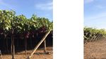 Ing. Jaime Luis Huerta Astorga - Minagri