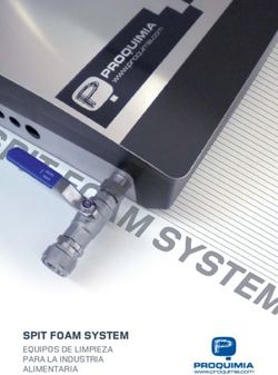 SPIT FOAM SYSTEM EQUIPOS DE LIMPIEZA PARA LA INDUSTRIA ALIMENTARIA - Proquimia