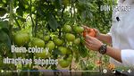 EL PRINCIPAL MEDIO DE COMUNICACIÓN AGRÍCOLA DEL SUDESTE ESPAÑOL - Fhalmeria. Frutas y hortalizas de Almería.