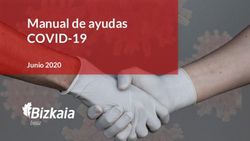 Manual de ayudas COVID-19 - Junio 2020 - Bizkaia.eus