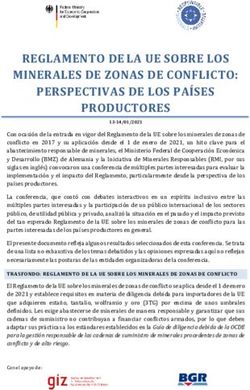 REGLAMENTO DE LA UE SOBRE LOS MINERALES DE ZONAS DE CONFLICTO: PERSPECTIVAS DE LOS PAÍSES PRODUCTORES