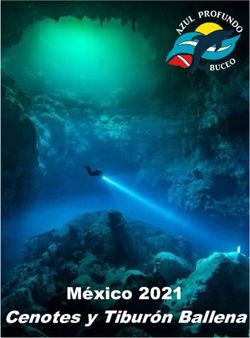 M&eacute;xico 2021 Cenotes y Tibur&oacute;n Ballena