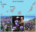 CONSERVACIÓN VEGETAL BOLETÍN DE LA 2 5ANIVERSARIO - SEBICOP