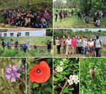 CONSERVACIÓN VEGETAL BOLETÍN DE LA 2 5ANIVERSARIO - SEBICOP