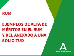 RUM EJEMPLOS DE ALTA DE M&Eacute;RITOS EN EL RUM Y DEL ANEXADO A UNA SOLICITUD